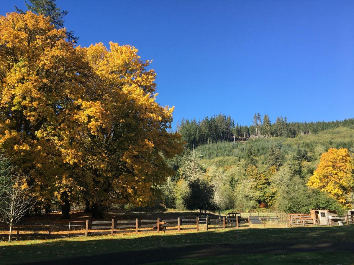 The Cabins At Beaver Creek المظهر الخارجي الصورة